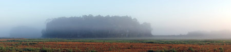 Panorama of farm field and mistの写真素材