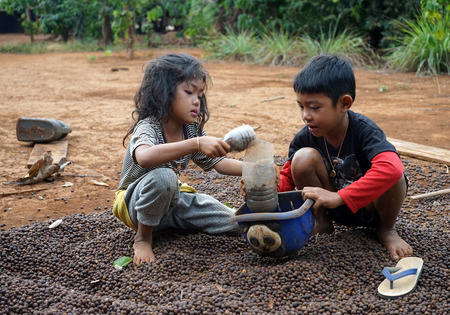 PAKSE, LAOS - CIRCA FEBRUARY 2017 Children on the coffe plantationのeditorial素材
