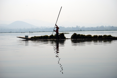 A farmer  by boat on the Inle lakeの写真素材