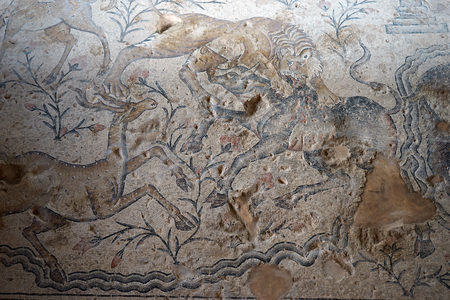 ZIPPORI, ISRAEL - CIRCA MAY 2018 Mosaics on the floor in Nile houseのeditorial素材