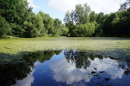 Pond in Kuskovo park in Moscow, Russia