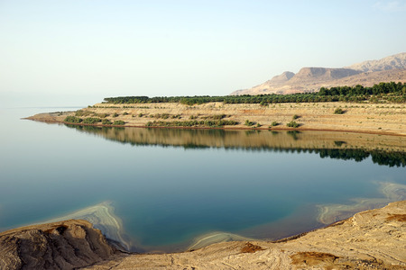 Coast of Dead sea in Jordanの写真素材