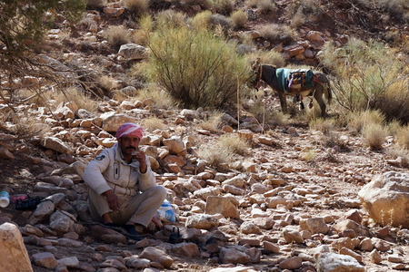 DANA, JORDAN - CIRCA NOVEMBER 2018 Shepherd and donkey in Dana national parkのeditorial素材