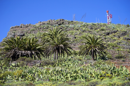 Mount with cactuses on the La Gomera islandの写真素材