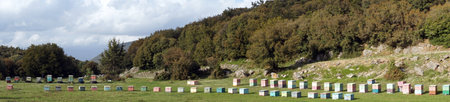 Apiary with beehives in Greece