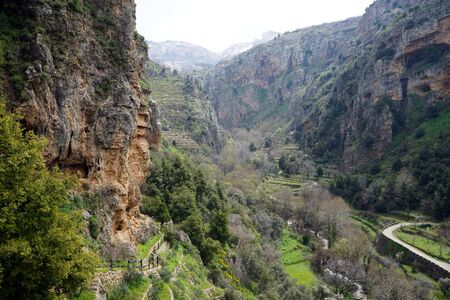 Green Quadisha valley in Lebanonの写真素材