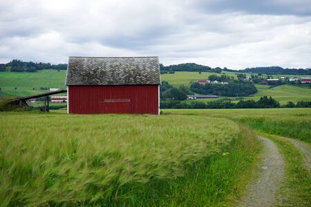 Old barn on the field in Norwayの写真素材