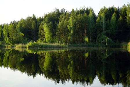 Forest lake and trees in Moscow region, Russiaの写真素材