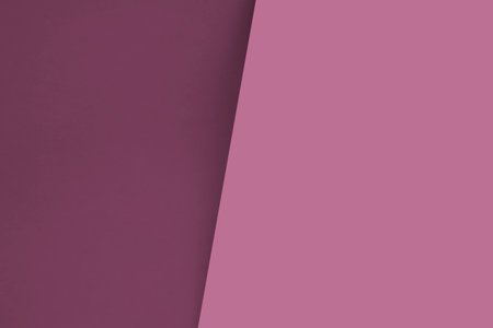 Purple and pink color paper background. Minimal geometric design.の写真素材