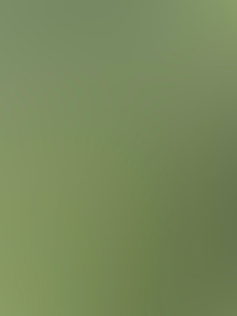 Abstract blurred background in green tones. Vector illustration for your design.の写真素材