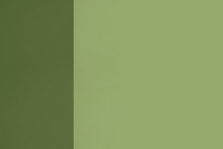 Green color paper background, light and dark tone, copy space.の写真素材