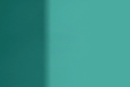 Green background with shadow from the window. Copy space for text.の写真素材