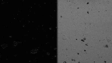 Abstract black and white grunge background. Monochrome texture.の写真素材