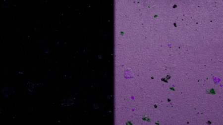 Purple and black paper texture useful as a background in high resolutionの写真素材