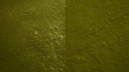 Green cement wall texture or background. Abstract background and texture for design.の写真素材