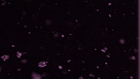 Purple bokeh on a black background. Abstract background.の写真素材