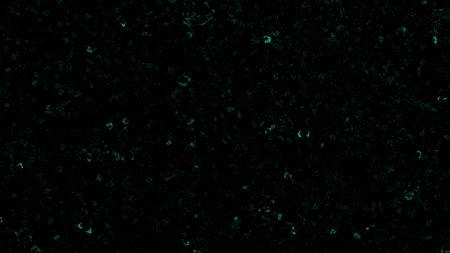 abstract background of black and white textureの写真素材