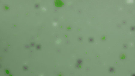 abstract green background, copy space wallpaper
