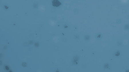 abstract background with space for textの写真素材