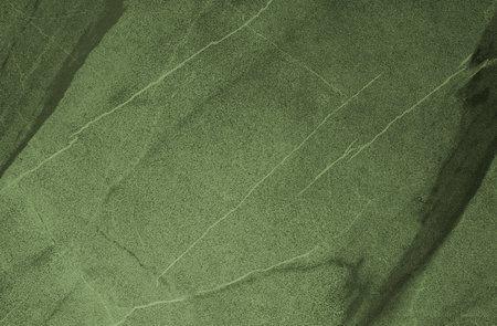green leaf texture, natural backgroundの写真素材