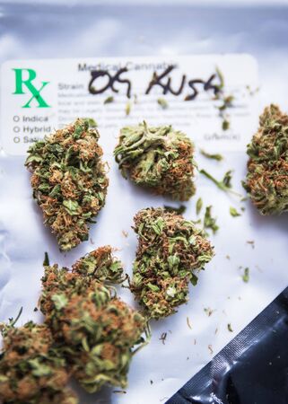 Medical Marijuana Prescription Nugsの写真素材