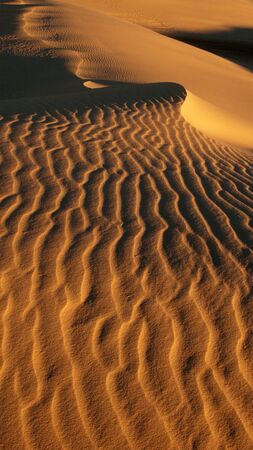 Lost in desert / Desert, waves, golden sand and sky.white sand.の写真素材