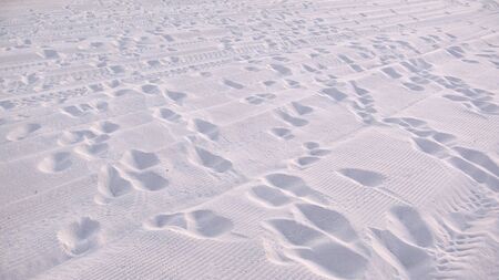 Footprints on a white sand beach leading into the sea. Photo taken in Florida.の写真素材
