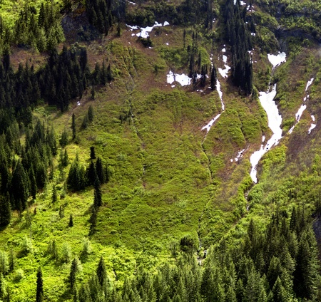 Steep spring valley / Steep fur covered valley with frozen springsの写真素材