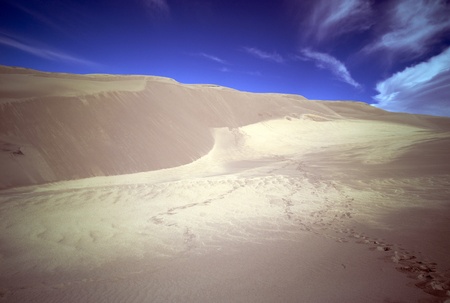 Footprints in sand dunesの写真素材