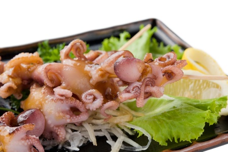 young octopus grilledの写真素材