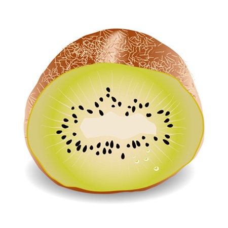 Kiwiのイラスト素材