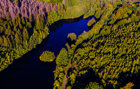 Aerial view of coast of natural lake in autumn with beautiful tree colours and reflectionsの写真素材