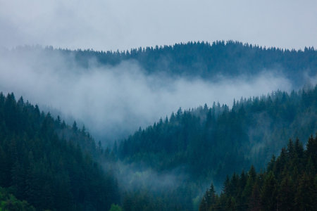 foggy morning in mountain