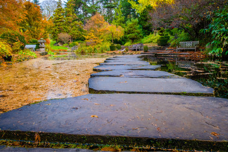 Sunny day in Autumn, trees with yellow orange, red leavesの写真素材
