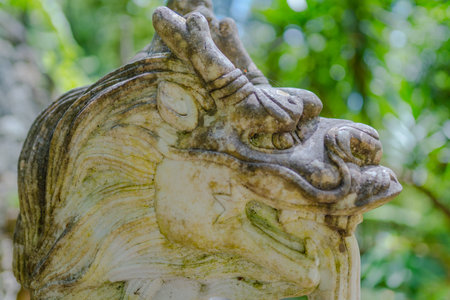 Botanical Garden Monte, Funchal, Madeira island, Portugalの写真素材