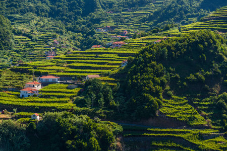 Beautiful mountain landscape and ocean coast of Madeira island, Portugalの写真素材