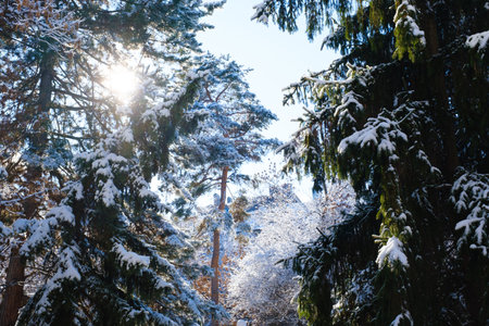 Winter Landscape with with fresh powder snow