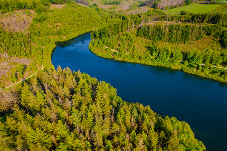 Aerial view of green summer forest and blue lake, landscapeの写真素材