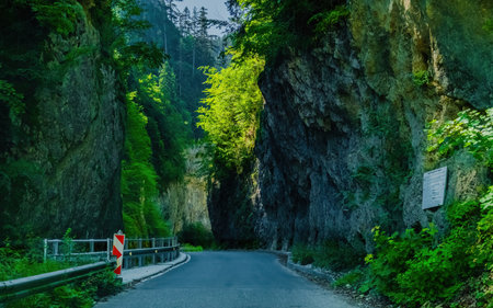 Trigrad gorge canyon of vertical marble rocks in rhodope mountains, Bulgariaの写真素材