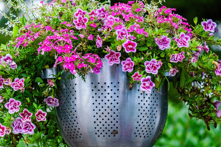 beautiful blossom flowers in the garden, bouquet, botanicalの写真素材