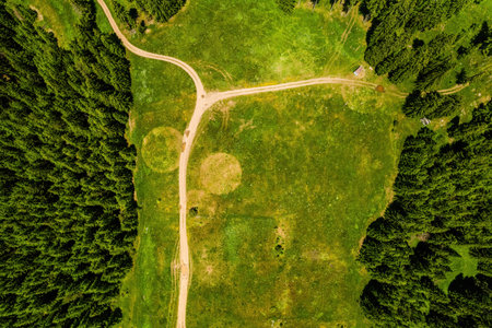 Beautiful natural green forest field with view from air, aerial photo