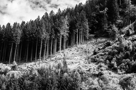 Alps mountains in stormy clouds, in black and whiteの写真素材