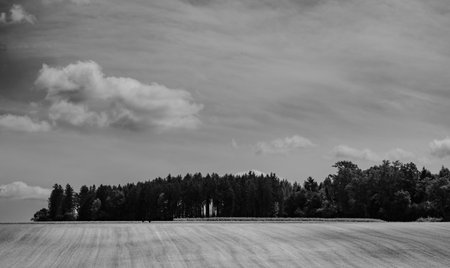 scenic summer view from countryside with trees and clouds in skyの写真素材