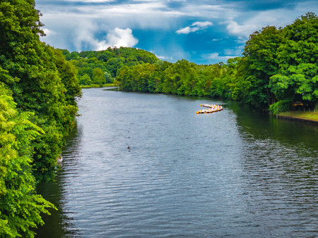View of green summer forest and blue lake, landscape