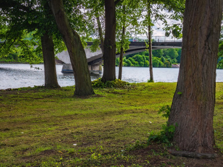 View of green summer forest and blue lake, landscapeの写真素材