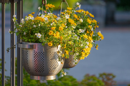 beautiful blossom flowers in the garden, bouquet, botanicalの写真素材