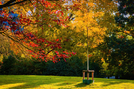 Fall trees landscape in vibrant colors, Autumn season.の写真素材