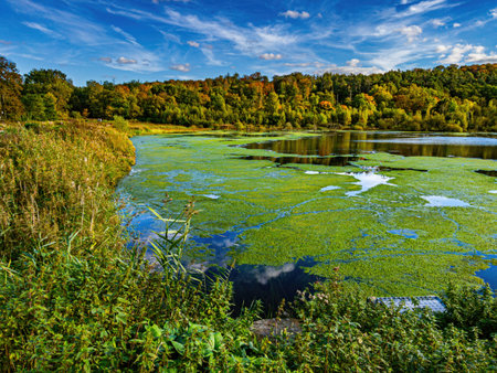 Fall trees landscape in vibrant colors, Autumn season.