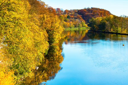 Fall trees landscape in vibrant colors, Autumn season.