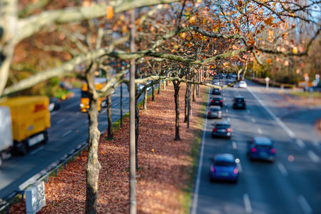 vibrant autumn trees on heavy traffic highwayの写真素材
